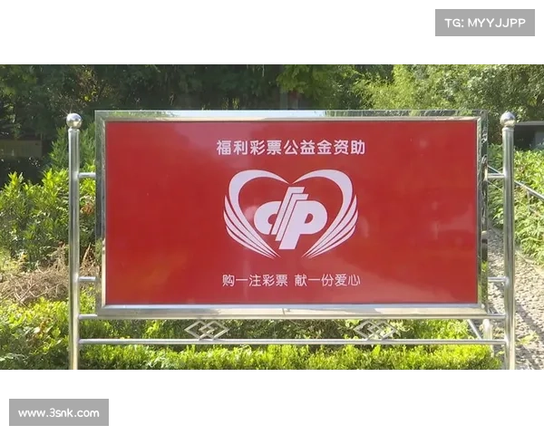 新疆福彩助力公益事业发展 助推社会福利与民生改善 新疆福彩助力公益事业发展 助推社会福利与民生改善